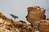 IMG_4932 Shuabb, Socotra